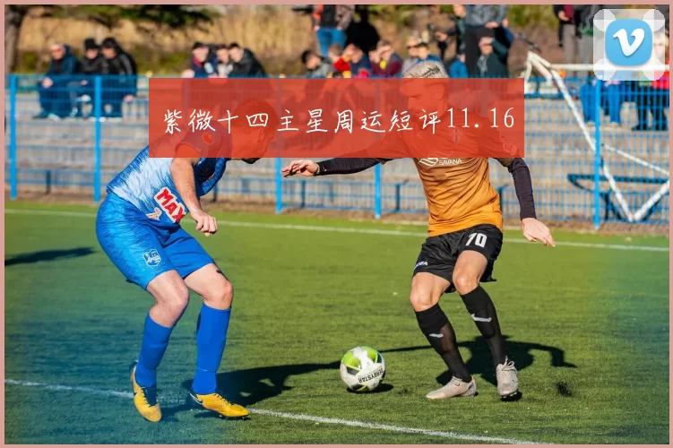紫微十四主星周运短评11.16